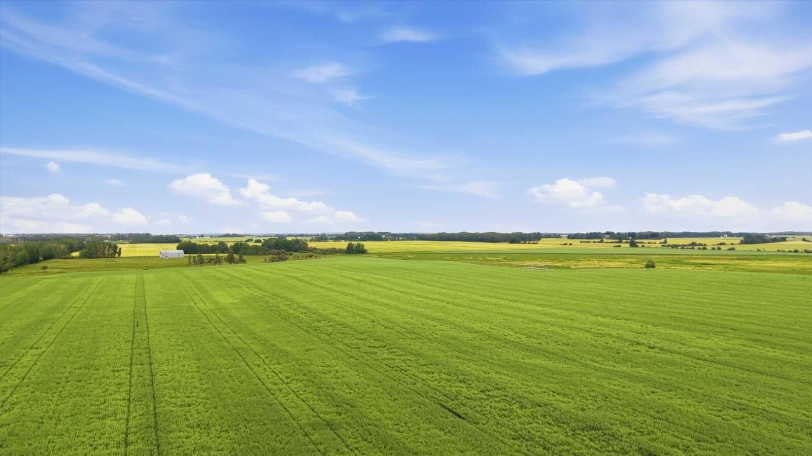 Property Photo: On Township Road 374 AB T4E 2C7