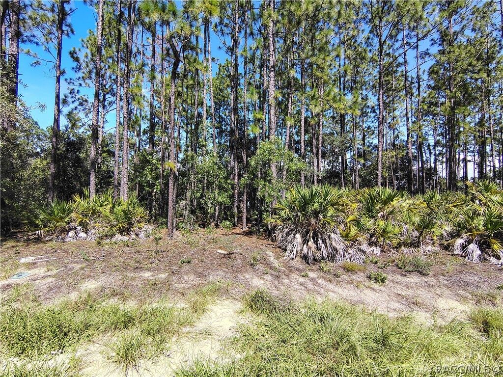 Property Photo:  1930 W Wavecrest Drive  FL 34434 