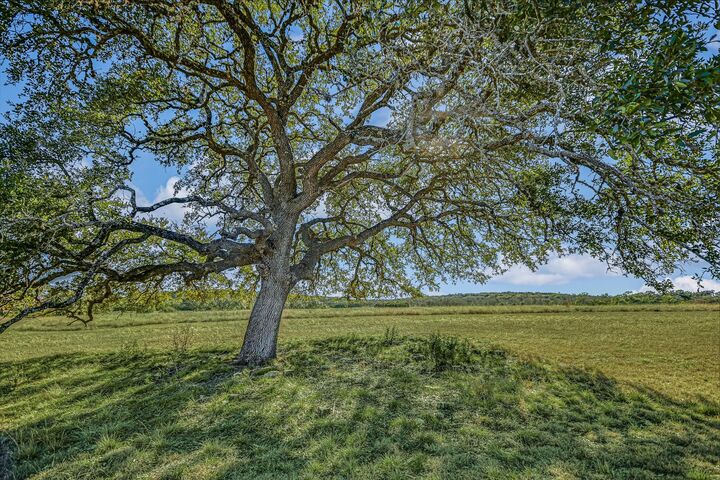 Property Photo: 4698 Fischer Store Road TX 78676