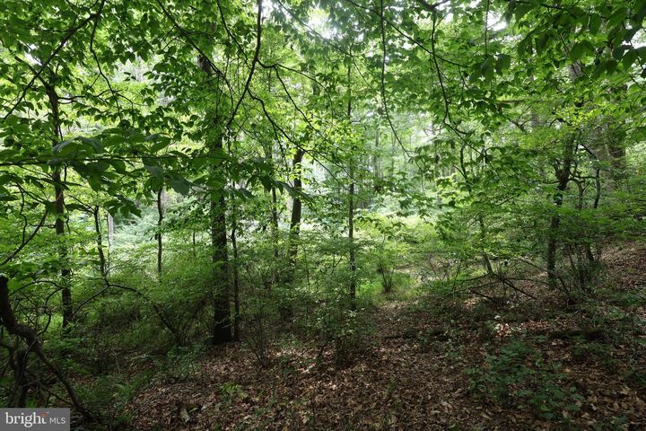 Property Photo:  0 Shultz Road  PA 17963 
