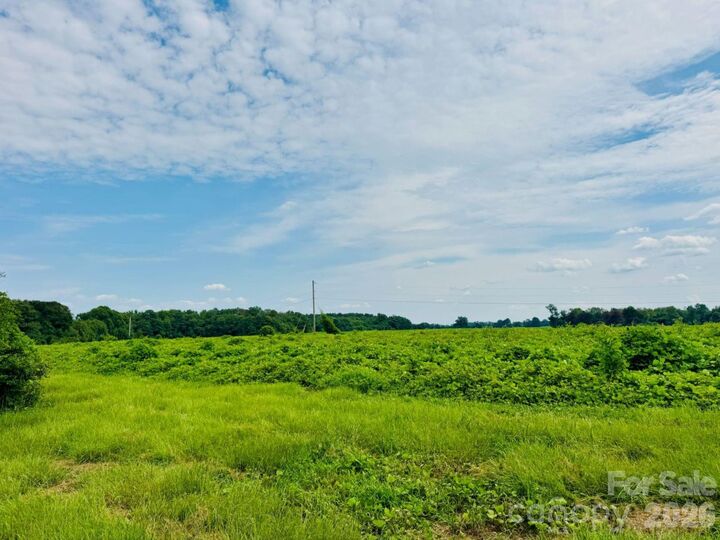 Property Photo: 0000 Skeeter Lane SC 29570