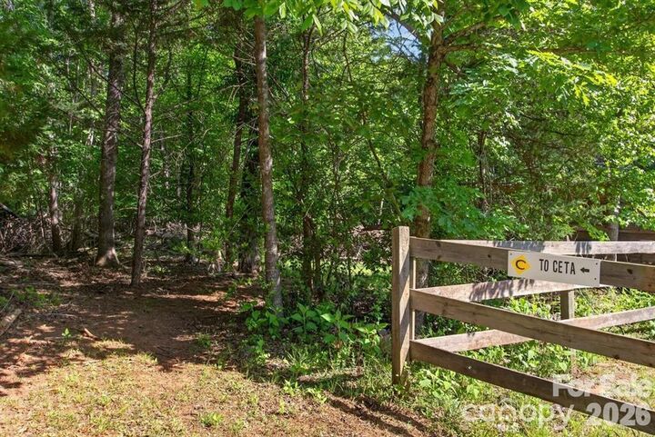 Property Photo: 3205 Collinsville Road NC 28722