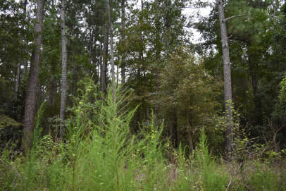 Property Photo:  Tbd Augusta Lane  SC 29510 