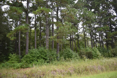 Property Photo: Tbd Burgess Road SC 29056