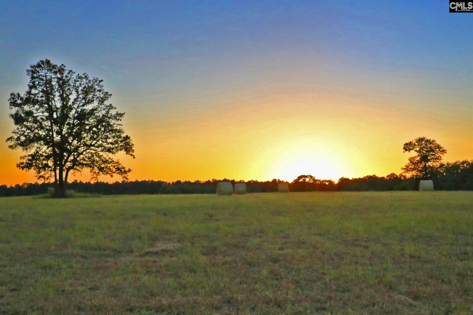 Property Photo:  Tbd Browns Pond  SC 29164-0000 