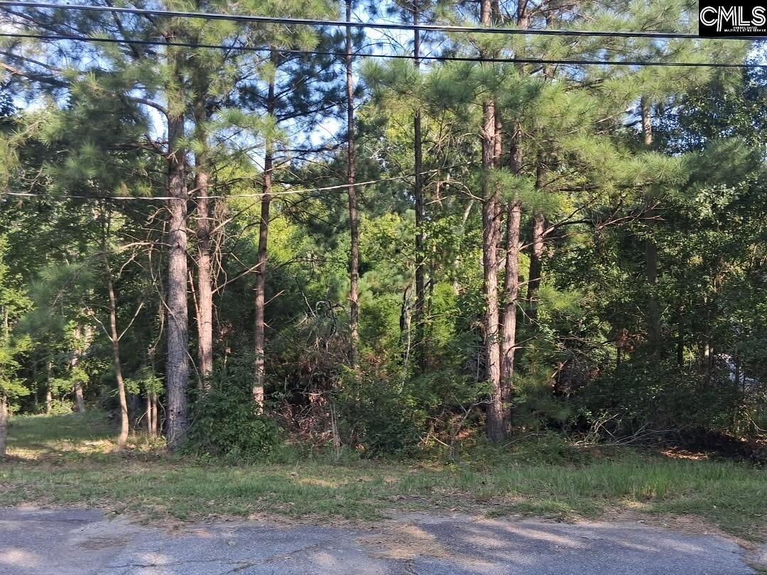 Property Photo:  84 Calhoun  SC 29178 