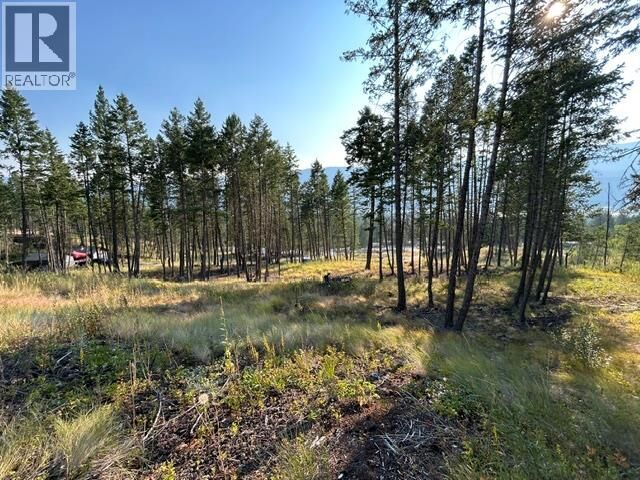 Property Photo:  Lot 12 Csokony Road  BC V0A 1E0 