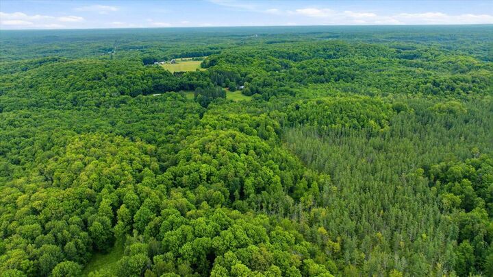 Property Photo:  018-00101-0000 Brush Creek Road  WI 54451 