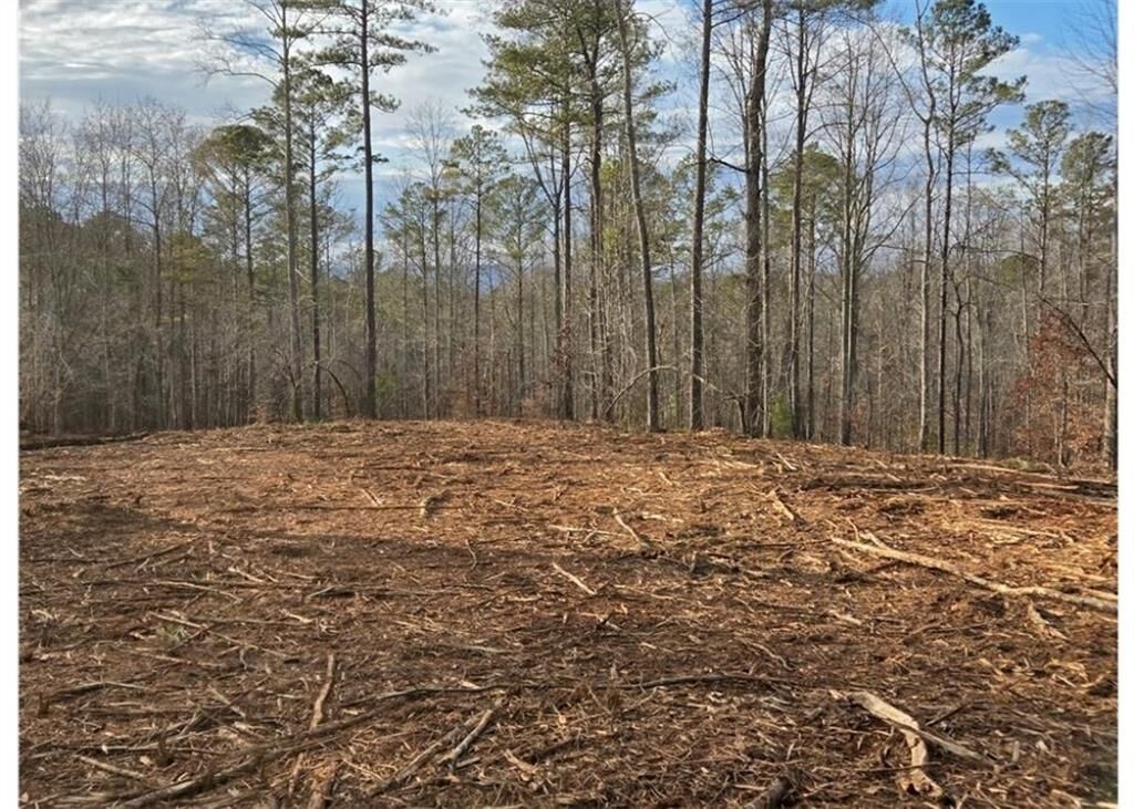 Property Photo:  277 Tippens Road  GA 30114 