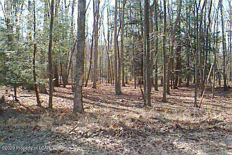 Property Photo:  Aw Lot 114 Arapahoe Lane  PA 18202 