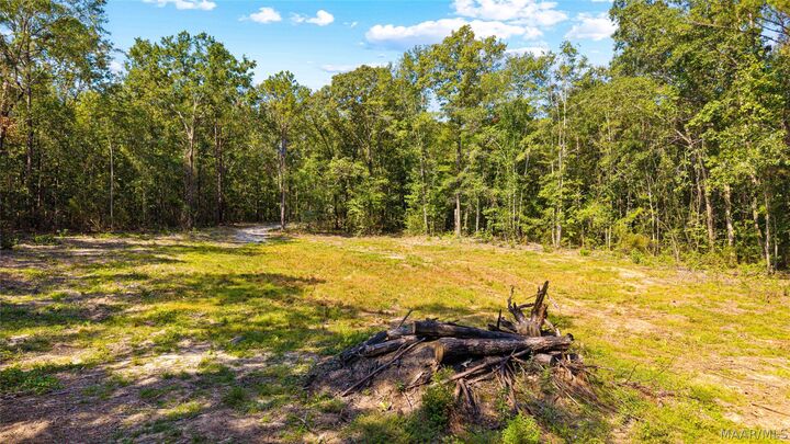 Property Photo: 1988 County Road 19 N AL 36067