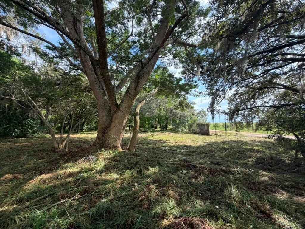 Property Photo: 8156 Dogyard Road FL 33898