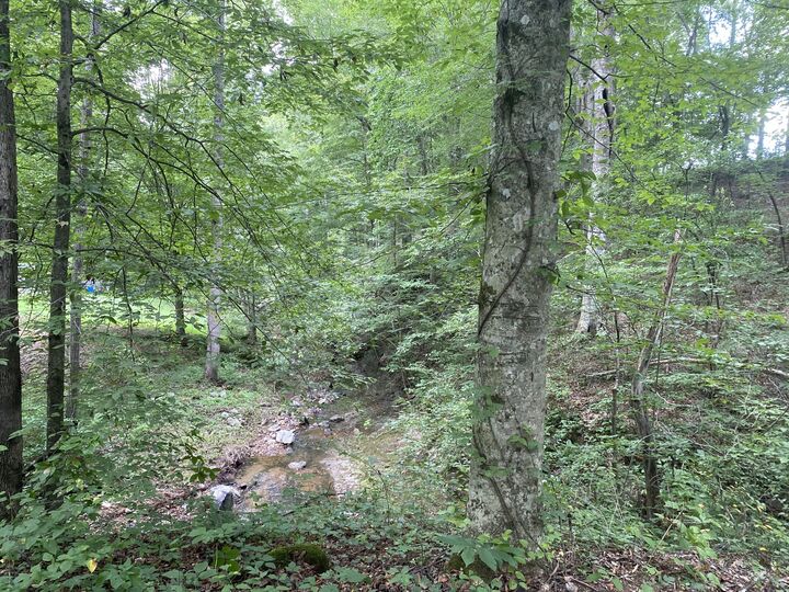 Property Photo:  326 Sherman Rd  TN 37036 