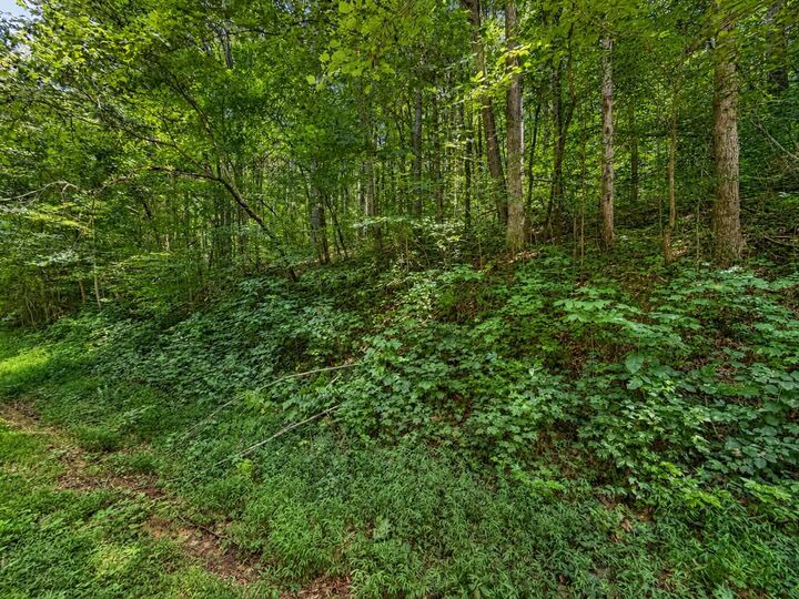 Property Photo: 0 Johnson Valley Road TN 37846