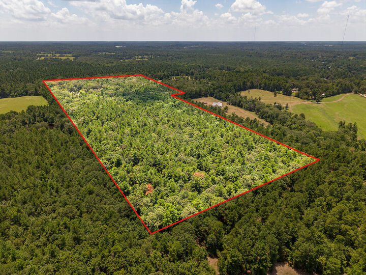 Property Photo: 1647 Whitehead Road TX 75901
