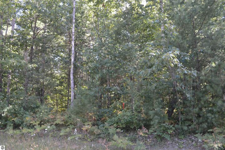 Property Photo: 2200 Driftwood Lane MI 49646
