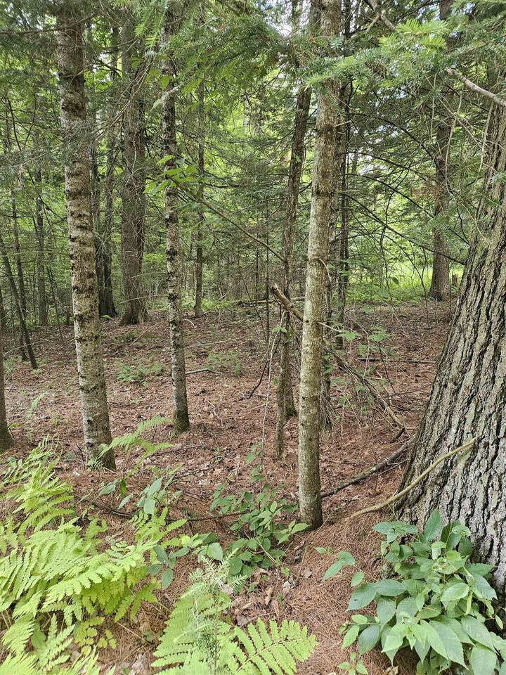 Property Photo:  00 Straford Drive  NH 03785 