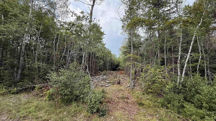 Lot S-2 Miner Meadow Road — photo 1