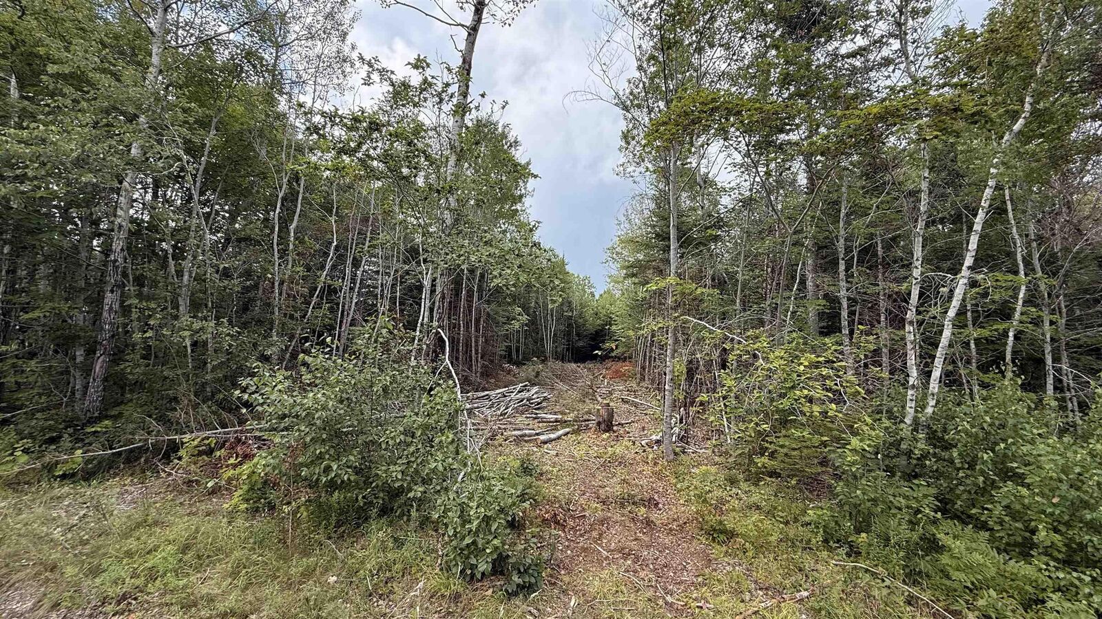 Property Photo:  Lot S-2 Miner Meadow Road  NS B4P 2R2 
