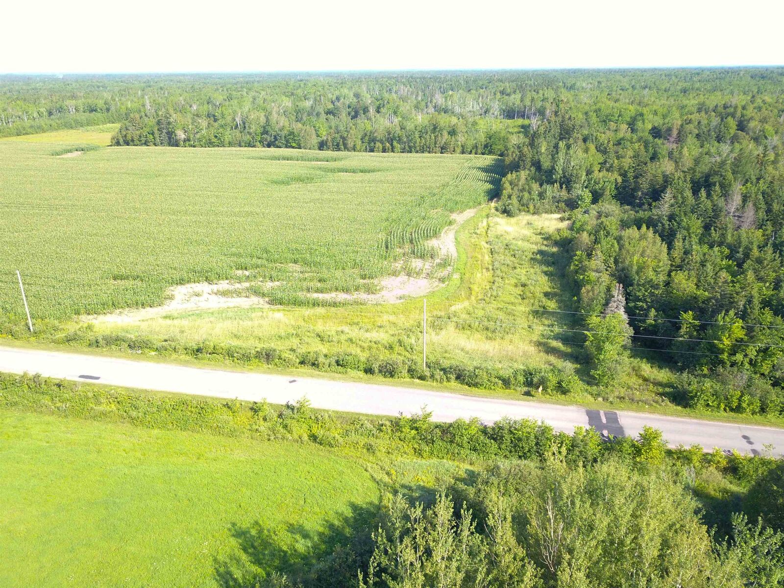 Property Photo:  McNeills Mills Road  PE C0B 1J0 