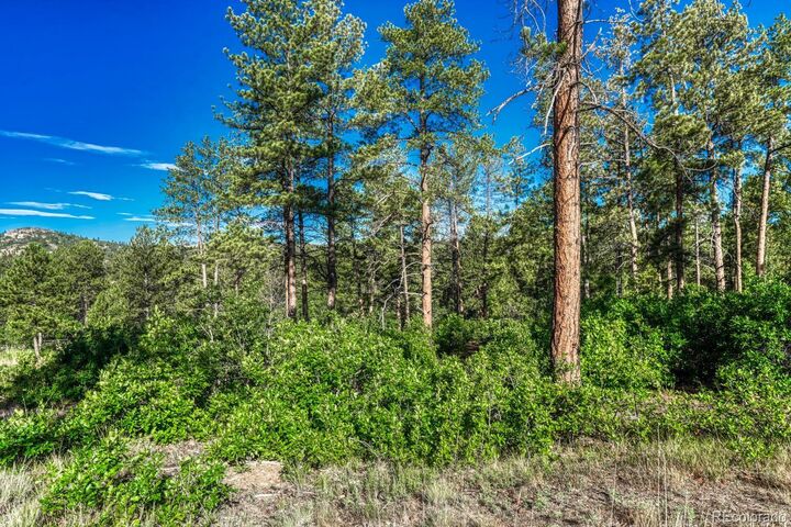 Property Photo:  1205 Wildcat Bend Court  CO 80108 
