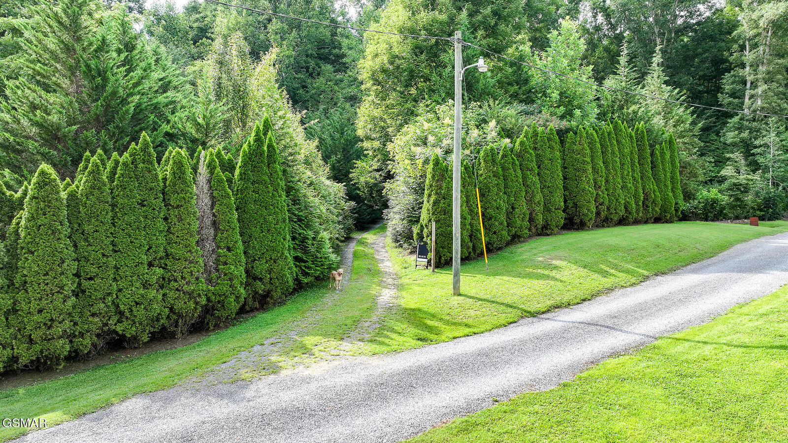 Property Photo:  985 Tennessee 31  TN 37811 