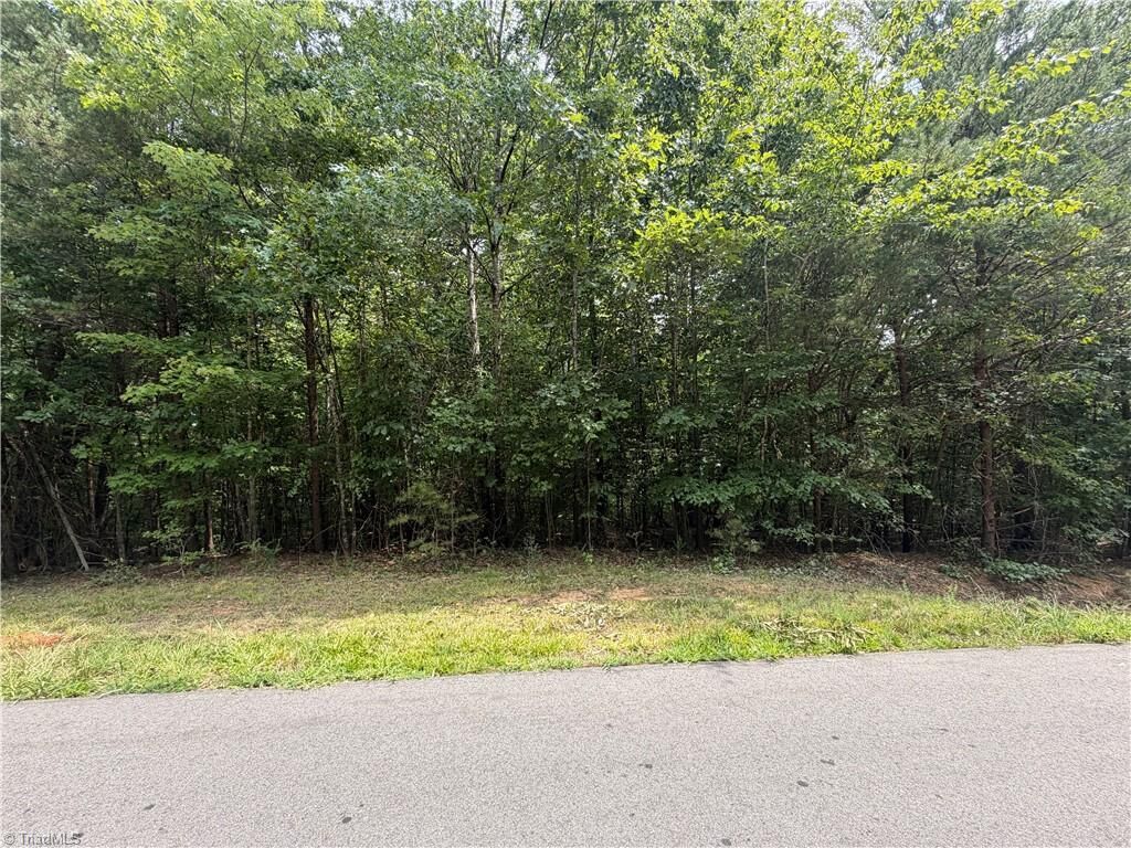 Property Photo:  186 Glenoak Drive  NC 27288 