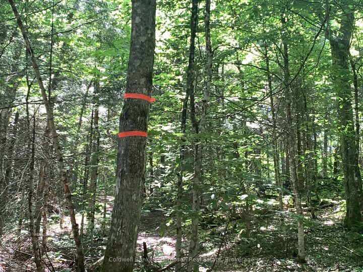 Property Photo:  Lot 12 Con 2 N/A Trail  ON P1L 1X3 