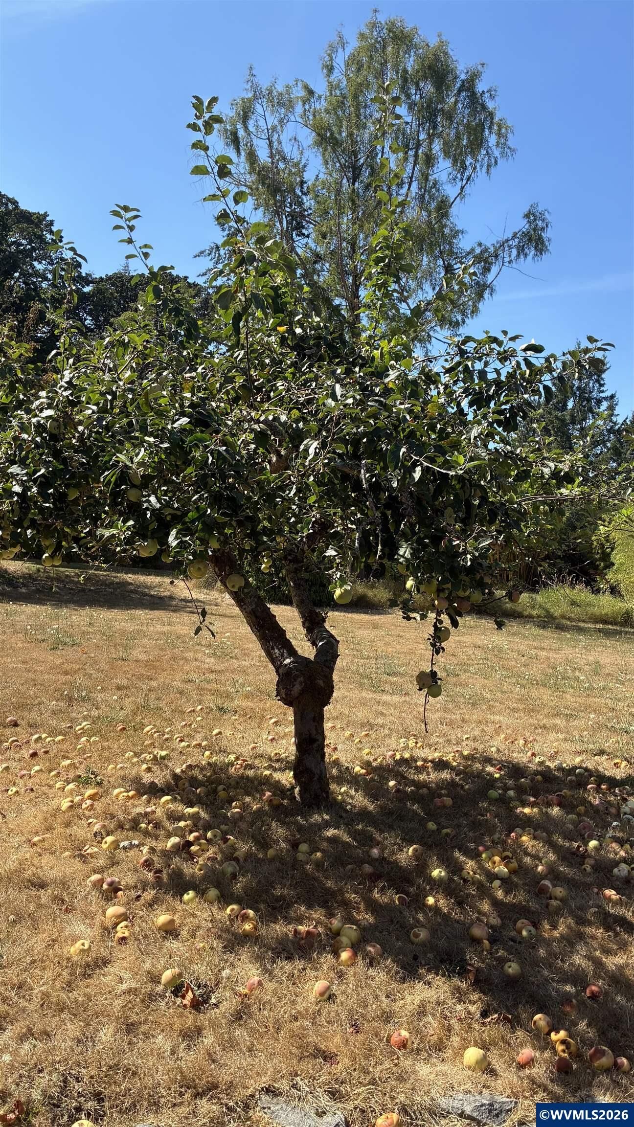 Property Photo: Lot 10 SW Willamette Av OR 97333
