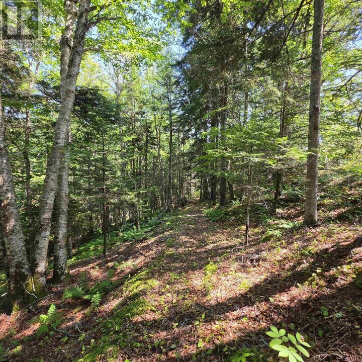 Property Photo:  72 North Greville Road  NS B0M 1S0 