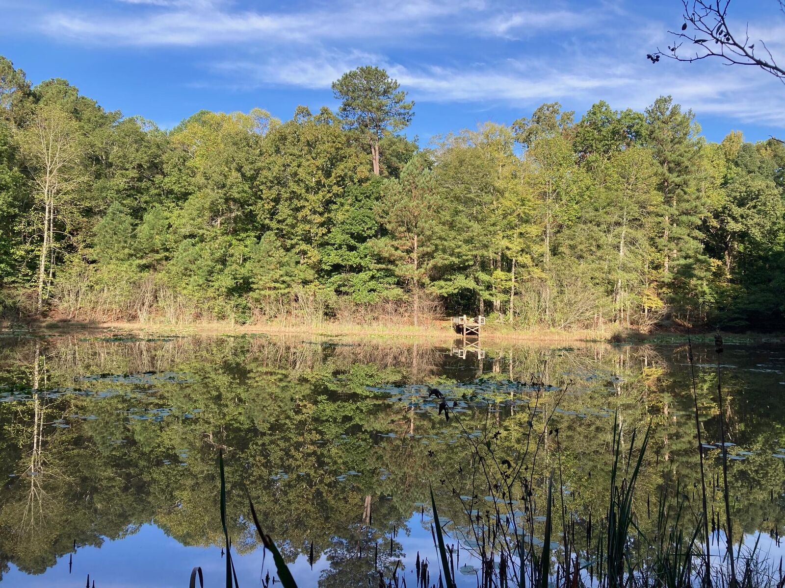 Property Photo:  2354 Elders Mill Road  FL 00N/A 
