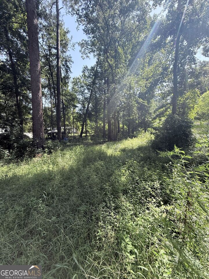 Property Photo: 409 Dogwood Lane GA 31320