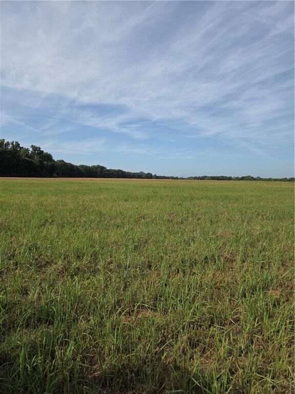 Property Photo:  Tbd Highway 494 Highway  LA 71456 