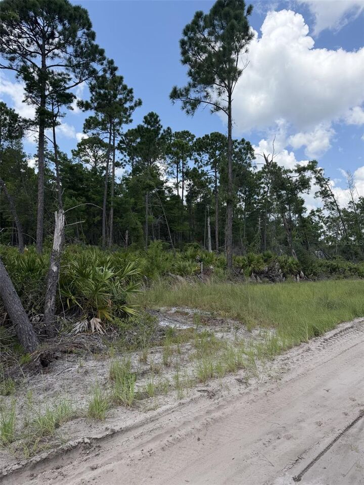 Property Photo:  00 Ridgehaven Avenue  FL 32174 