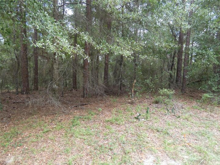 Property Photo:  10061 N Biscayne Drive  FL 34434 