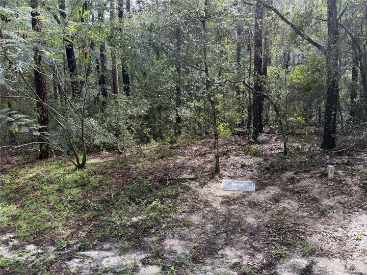 Property Photo:  10061 N Biscayne Drive  FL 34434 