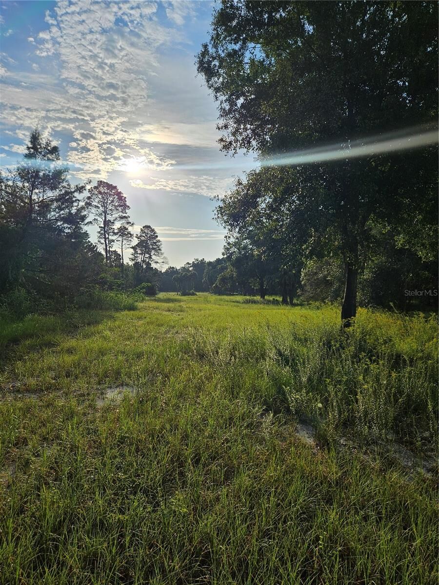 Property Photo: Snow Hill Rd Road FL 32732