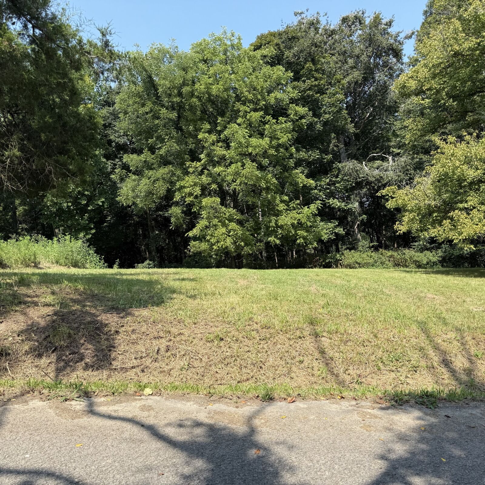 Property Photo:  0 N College St  TN 37150 