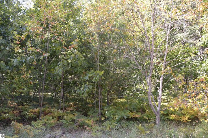 Property Photo: 2080 Driftwood Lane MI 49646