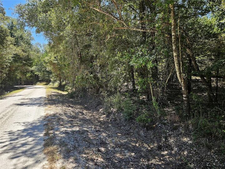 Property Photo:  3.151 Acres Love Road  TX 76653 