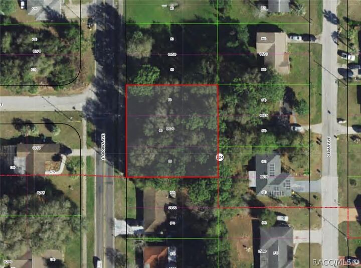 Property Photo:  824 S Apopka Avenue  FL 34452 