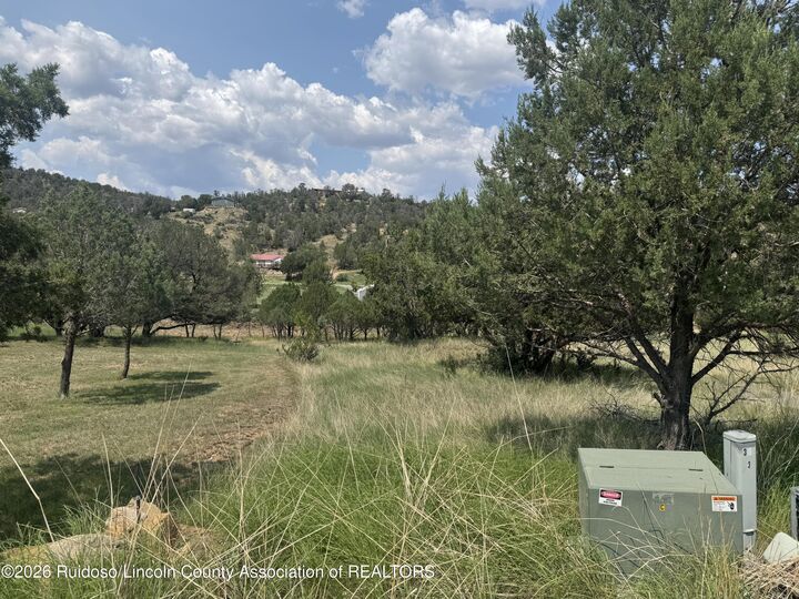 Property Photo:  118 Cowboy Court  NM 88312 