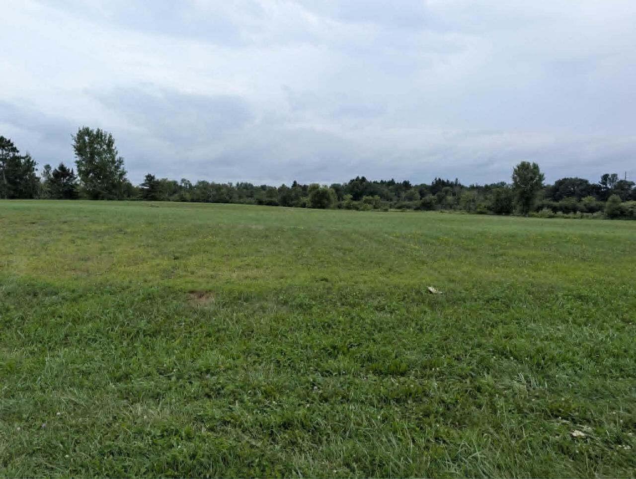 Property Photo: .99 Acres Buan Street WI 54660