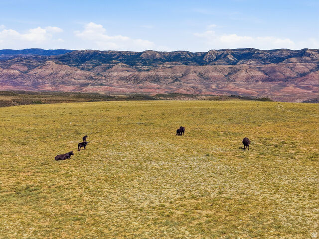 Property Photo: 10780 Ford Ridge Rd UT 84526