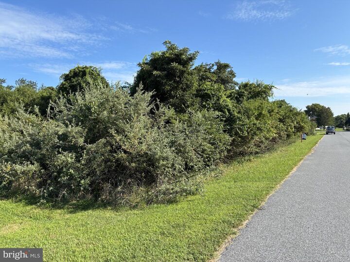 Property Photo:  0 Inlet  MD 21842 