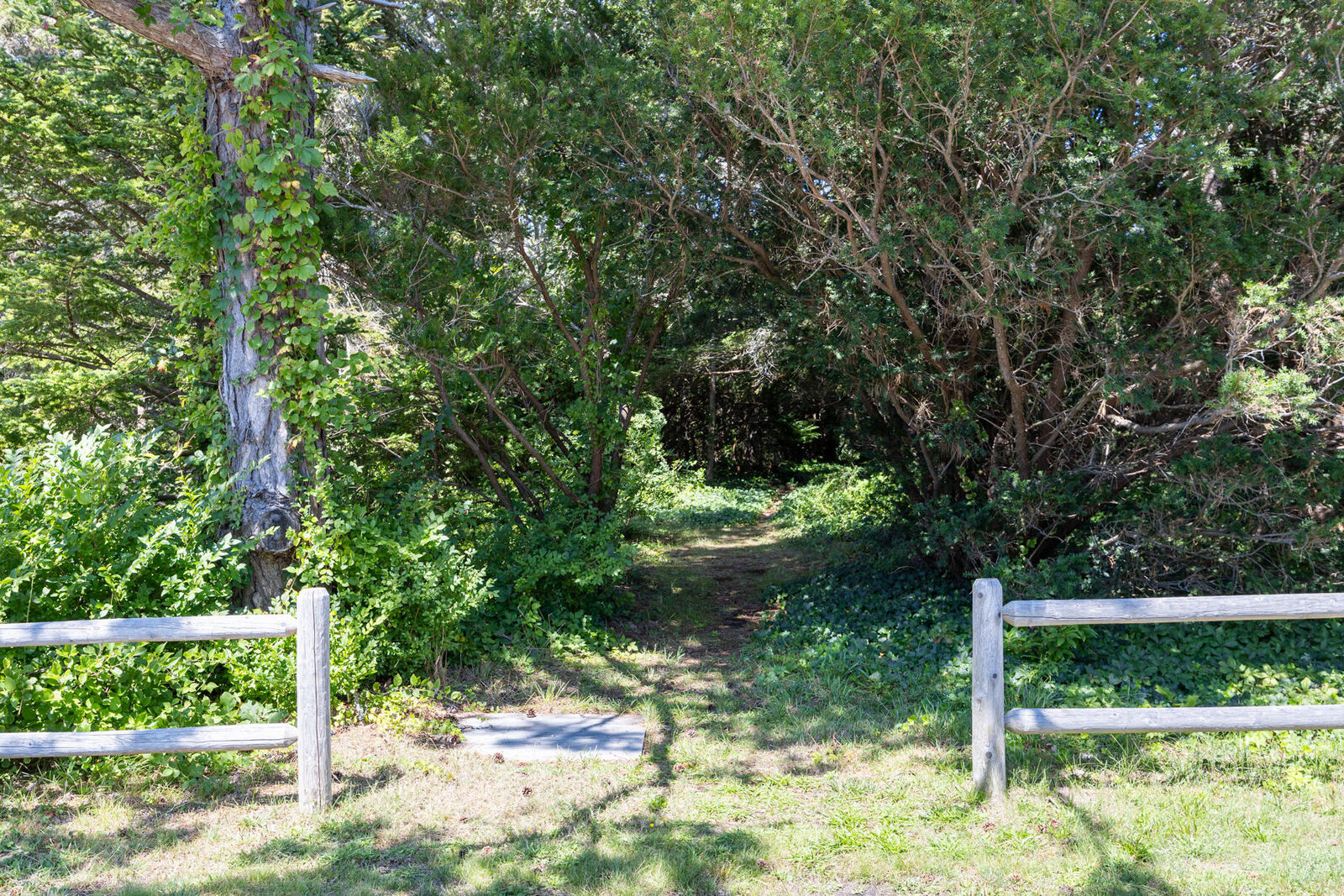 Property Photo:  264 Sea View Avenue  MA 02655 