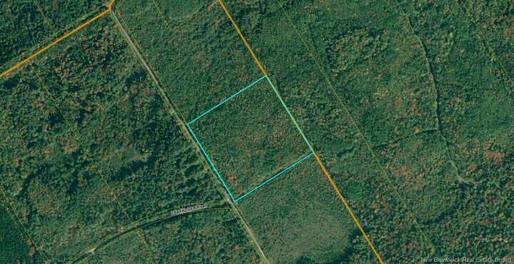 Lot 021 Branch Road — photo 1