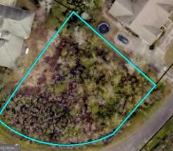 Property Photo:  902 Riverview East Drive  GA 31558 