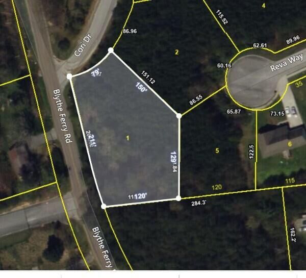 Property Photo:  1 Cori Drive  TN 37321 