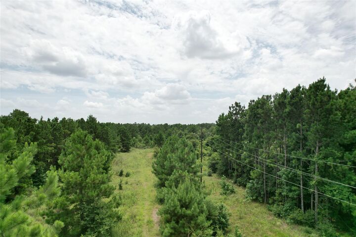 Property Photo:  Tbd State Highway 242  TX 77385 